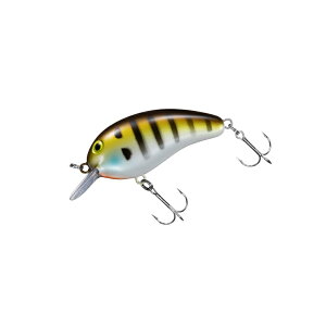 _C s[ibc DDR |hM | ދ ނ tBbVO