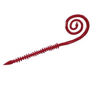 _C g 峃J[[ 7C` C\bh | ދ ނ tBbVO