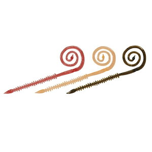 _C g 峃J[[ 7C` ZNgX[ | ދ ނ tBbVO