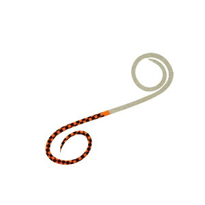 _C gVRlN^CnCXs[hcCJ[[ `FbJ[YIW+S[h / ^ ^Co | ދ ނ tBbVO