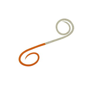 _C gVRlN^CnCXs[hcCJ[[ IW+S[h / ^ ^Co | ދ ނ tBbVO