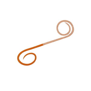 _C gVRlN^CnCXs[hcCJ[[ IW+PCIW / ^ ^Co | ދ ނ tBbVO