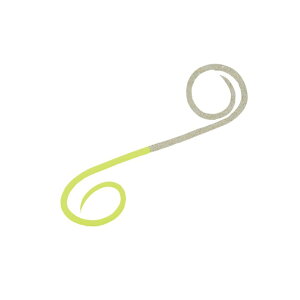 _C gVRlN^CnCXs[hcCJ[[ }Y`[g+S[h / ^ ^Co | ދ ނ tBbVO