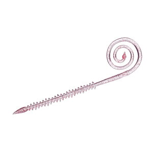 _C g咆峃J[[ 7C` bhhbgO[ / ^ ^Co | ދ ނ tBbVO