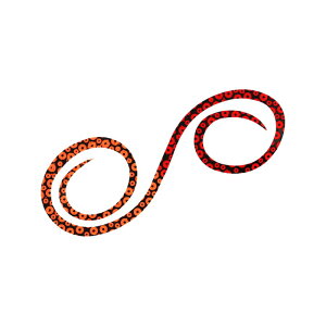 _C gVRlN^C3D߂cCJ[[ IW+bh / ^ ^Co | ދ ނ tBbVO