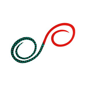 _C gVRlN^C3D߂cCJ[[ `FbJ[YO[+bh / ^ ^Co | ދ ނ tBbVO