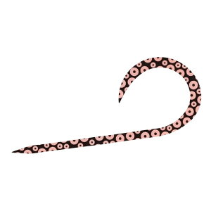 _C gVRlN^CVOJ[[ PCIW / ^ ^Co | ދ ނ tBbVO