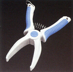 _C tBbVz_[V 200 | ދ ނ tBbVO