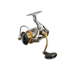 _C(DAIWA) 21t[X LT3000-XH XsjO[ | ދ ނ tBbVO