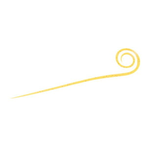 _C g VRlN^C `[ Xg[gJ[[X  / ^ ^Co | ދ ނ tBbVO