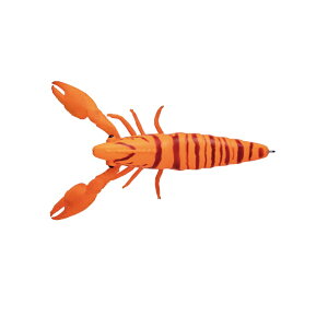 W[Ntg TACO-EBI ՂՂ^RGr #002 ݂Gr MIKAN EBI | ދ ނ tBbVO