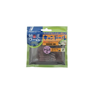 W[Ntg ADW-CD2.0 [ Lh[ 2.0C` #009 ILA~(PC) | ދ ނ tBbVO