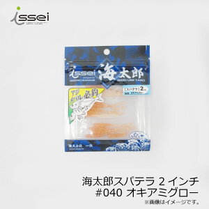 yubNtCf[ Ԓ Gg[P10{Izꐽ CY Xpe 2C` #040 ILA~O[ | ދ ނ tBbVO