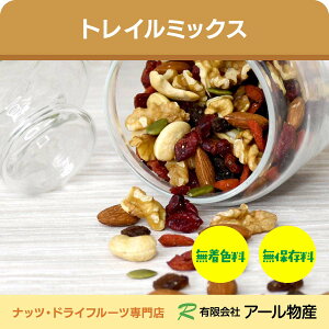 gC~bNX  500g A[h  JV[ibc [Y Nx[ NR̎ ڂ̎  Hsgp fĂA[h N~ Ԃǂ hCt[c 