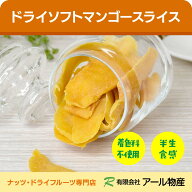 ドライソフトマンゴースライス 送料無料 700g タイ産 または カンボジア産 半生食感 マンゴー ドライフル…