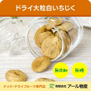 hC嗱  700g gRY sgp VK[X mIC ۑsgp Ysgp Y ԉ  hCt[c `bNt e ԐH  