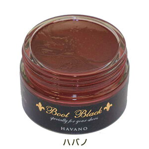 y|Cg5{z RuX BootBlack u[gubNV[N[ r 55g  CN[ Cn