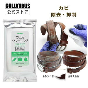 y|Cg5{z ylR|X200~zRuX U[LA Jrp N[jOV[g 10 ꗎƂ C u[c  obO v Jr  N[i[ v H ~ ĕ