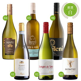 【6本セット】エノテカ 厳選 白ワイン 750ml × 6本 セット イタリア スペイン チリ オーストラリア ニュージーランド 送料無料