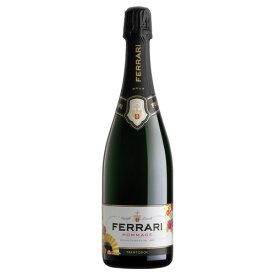 フェッラーリ オマージュ NV 正規品 750ml イタリア トレント スプマンテ スパークリング ワイン ギフト対応可 ラッピング ボックス 1本用 2本用 熨斗 誕生日 プレゼント お祝い [[wrap01][wrap03]