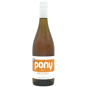 ����B�����[�h Pony �I�����W�F�b�B 2023 750ml �I�����W���C�� ���{���C�� �R���� ���h�� �M�t�g�Ή��� ���b�s���O �{�b�N�X 1�{�p 2�{�p ���l �a���� �v���[���g ���j�� [[wrap01][wrap03]