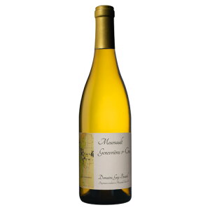 MB {J[ \[ v~G N WkG[ 2022 750ml C tX uS[j h MtgΉ bsO {bNX 1{p 2{p l a v[g j [[wra