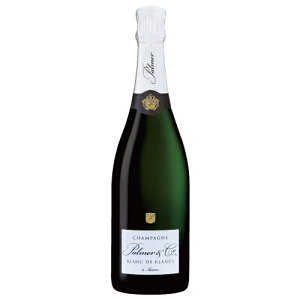 Vp[j p u h u NV 750ml Ȃ ubg Vp  MtgΉ bsO {bNX 1{p 2{p l a v[g j [[wrap01][wrap03]