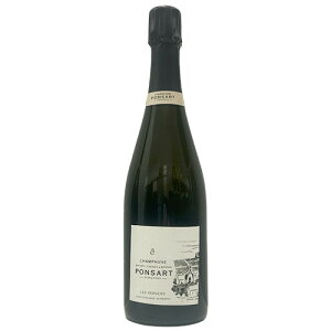 |T[ FWF NV 750ml Ȃ Vp Vp[j h MtgΉ bsO {bNX 1{p 2{p l a v[g j [[wrap01][wrap03]