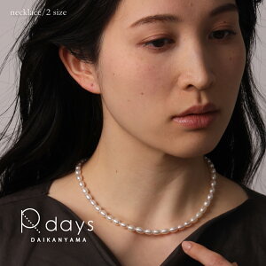 Wp[ vZX lbNX R-days VR p[  wZs Ǝ w  }}  IP[W Vv ANZT[ fB[X Mtg u䂤pPbgv
