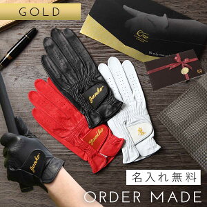 Ε ~Mtg I[_[Ch StO[u ybsOtES[hzY fB[X  {v ^̐ MtgbsOΉ St IWi v[g a 