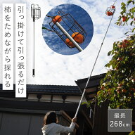 柿取り棒 フルーツピッカー 柿取り 柿採り 柿 取る 採る 収穫 高所 木 バスケット くだもの 果物 フルー…