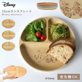 ディズニー 食器 ワンプレート 丸皿 25cm 仕切り プレート ミッキー 抗菌加工 食洗機対応 レンジ対応 割れない 日本製 おしゃれ Disney ディズニー mA 抗菌ランチプレート BPAフリー