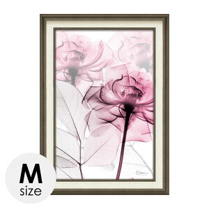 x-ray A[gt[ LoXA[g  A[gpl _  Ǌ|  CeA A[g G t[t X RAY LoXA[g sN[Y MTCY