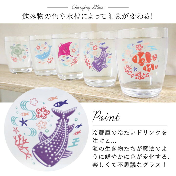 楽天市場 グラス ガラス コップ タンブラー おしゃれ かわいい 色変わりグラス 海の生き物 日本製 ジンベイザメ イルカ ドルフィン カクレクマノミ ウミガメ マンタ 涼し気 涼しげ 夏グラス 夏コップ 水族館 マリングッズ 海 動物 ココチのくらし雑貨店
