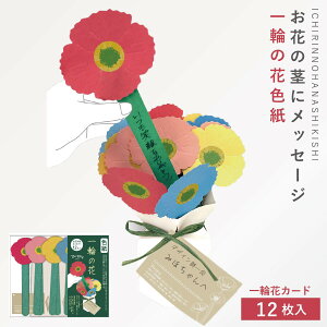 寄せ書き色紙 色紙 寄せ書き カード 大人数 メッセージカード 卒業 お別れ 退職 転勤 送別会 手紙 メッセージ ギフト プレゼント 誕生日 お祝い サプライズ イベント 面白い ユニーク 一輪の