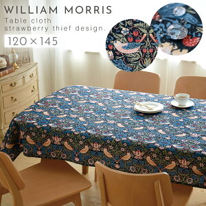 e[uNX 120×145cm  D_ EBAX k  ͂e[uNX XD_