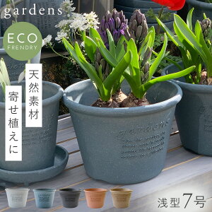 鉢植え 木 おしゃれ 鉢の人気商品 通販 価格比較 価格 Com 鉢植え 木 おしゃれ 鉢の人気商品 通販 価格比較 価格 Com