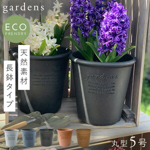 玄関 鉢植え 木の人気商品 通販 価格比較 価格 Com