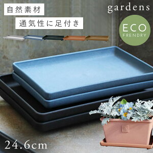 玄関 鉢植え 木の人気商品 通販 価格比較 価格 Com