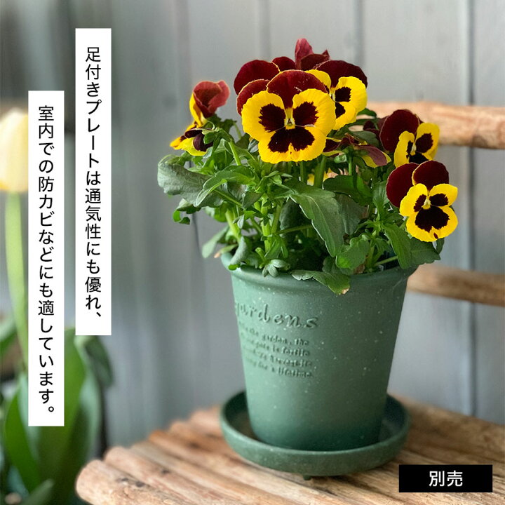 プランター 受け皿 受皿 水受け皿 水受け 鉢皿 植木鉢 おしゃれ アンティーク プラスチック 8号 エコプレート丸型 ガーデニング ガーデン 雑貨 超 安い品質