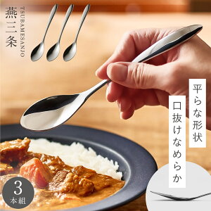燕三条 スプーン 3本組 セット ステンレス カレースプーン ディナースプーン オムライス カトラリー 食べやすい 薄い 口あたり良い 日本製 食洗機対応 TSUBAME ミディアムスプーン 3本組 介護