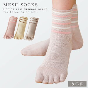   5{w\bNX C fB[X y3Fgz22-25cm ܖ{w ėp bV   {[_[ ܂Ƃߔ y SȂ ݂ȗSnz 邢  S 