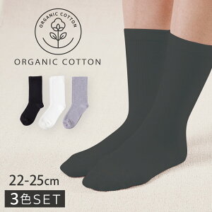 I[KjbNRbg C   fB[X y3Fgz22-25cm Ch S y SȂ ݂ȗSnz  邢  ߕtȂ ނ   