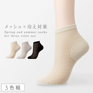 ₦ C fB[X ėp y3Fgz 22-25cm zM [΍  bV Ȃ ʋC   ܂Ƃߔ 3  ⋭ v y KȗSnEČC z [΍ܐ