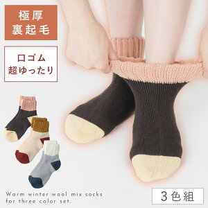   C fB[X ~ g y3Fgz 22-25cm N ӂӂ ~p   ̂т  y SȂ ݂ȗSn z  邢  S 