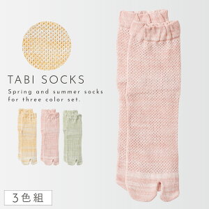   ܃\bNX C fB[X y3Fgz22-24cm ėp bV  Ȃ  y SȂ ݂ȗSnz  S ߕtȂ ނ  