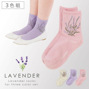   C fB[X y3Fgz22-25cm t   ԕ  킢y SȂ ݂ȗSnzYȂ EȂ  S ߕtȂ ނ 