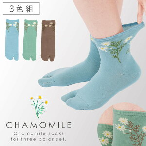   ܃\bNX C fB[X y3Fgz22-25cm t  ԕ   y SȂ ݂ȗSnz 邢  S ߕtȂ ނ  