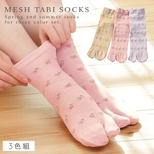   ܃\bNX C fB[X y3Fgz22-25cm ėp bV   ԕ y SȂ ݂ȗSnz  S ߕtȂ ނ   