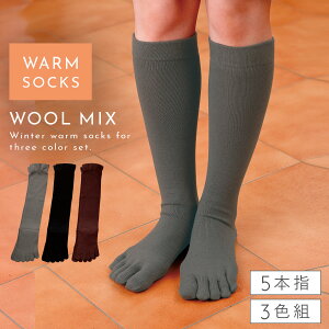   nC\bNX 5{w\bNX fB[X 3Fg 22-25cm H~ ~p g  ނ  ̂ނ  p ߕtȂC  C 5{w ܖ{w 䒷 